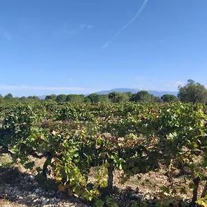 Hébergement de vacances Dans Les Pins Avec Piscine, Mazan