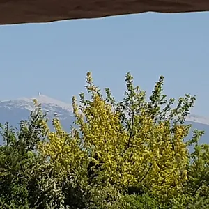 Maison d'hôtes Pura Vida, Mazan